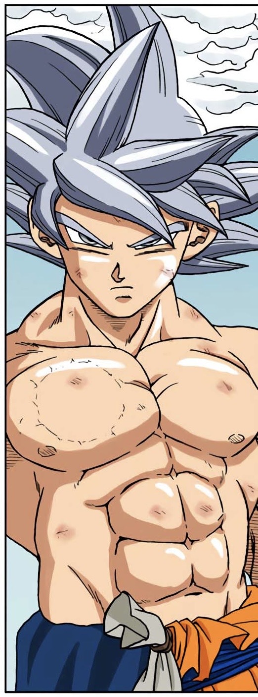 Goku in Perfected Ultra Instinct