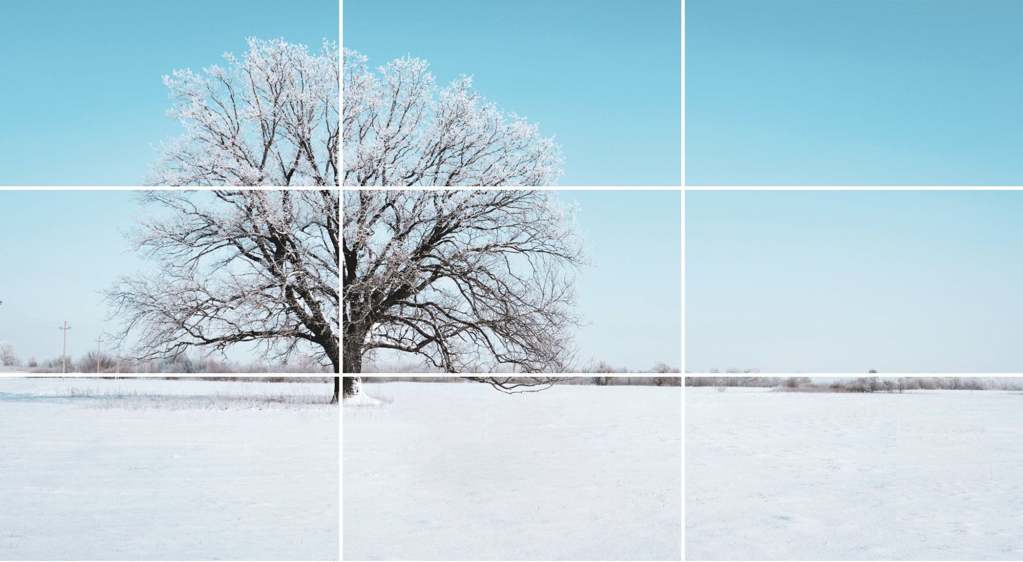 Rule of Thirds