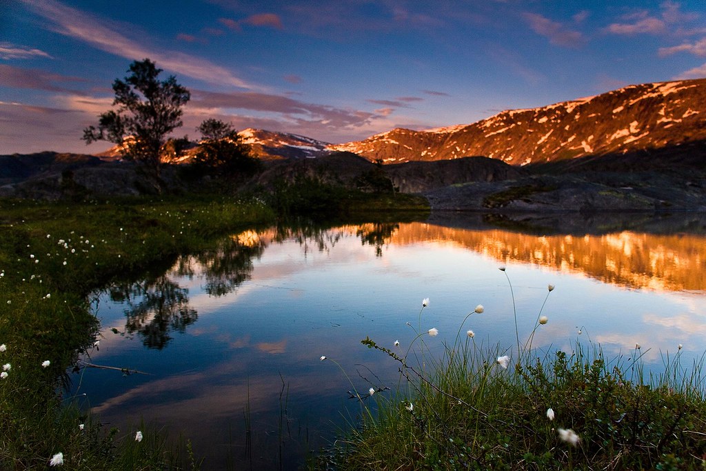 the sun shining over Norway
